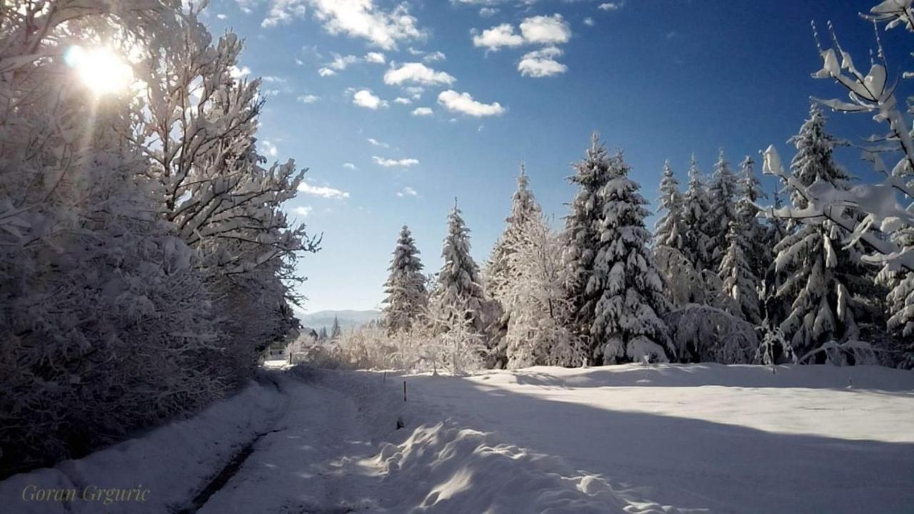 Zimski San Ravna Gora Exterior foto