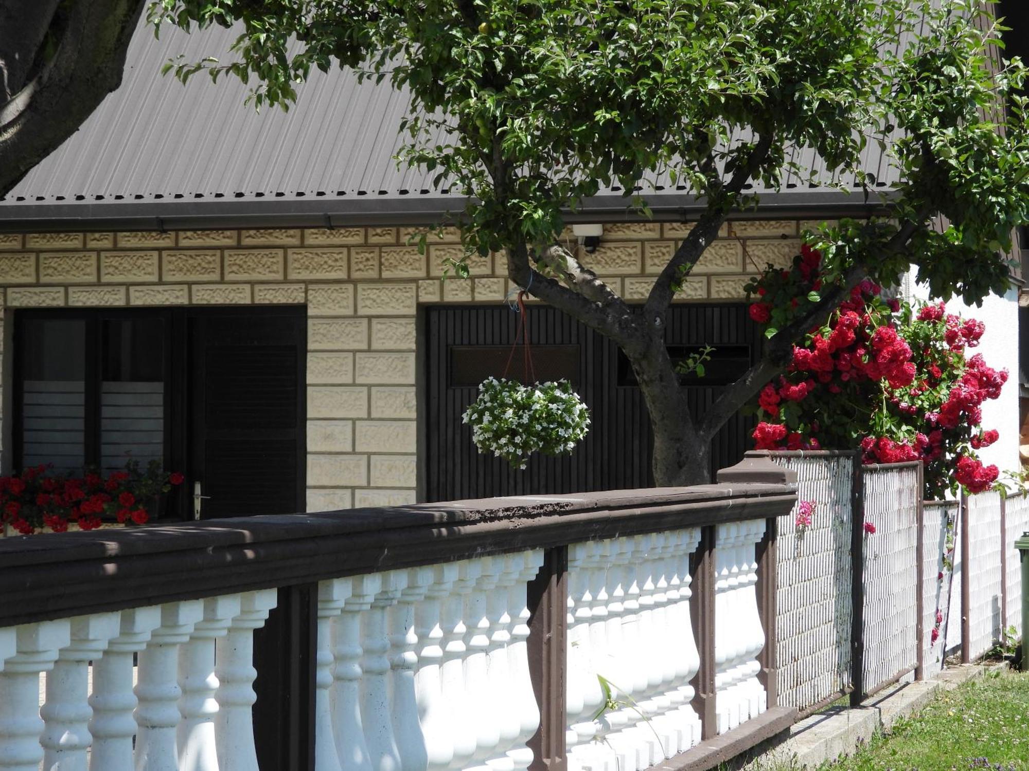 Zimski San Ravna Gora Exterior foto